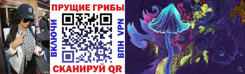 Купить где  Буйнакск  Галлюциногенные грибы Psilocybine cubensis 
